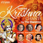 Essential Krishna Chants by the Maestros - Dinesh Kumar Dube Song Download